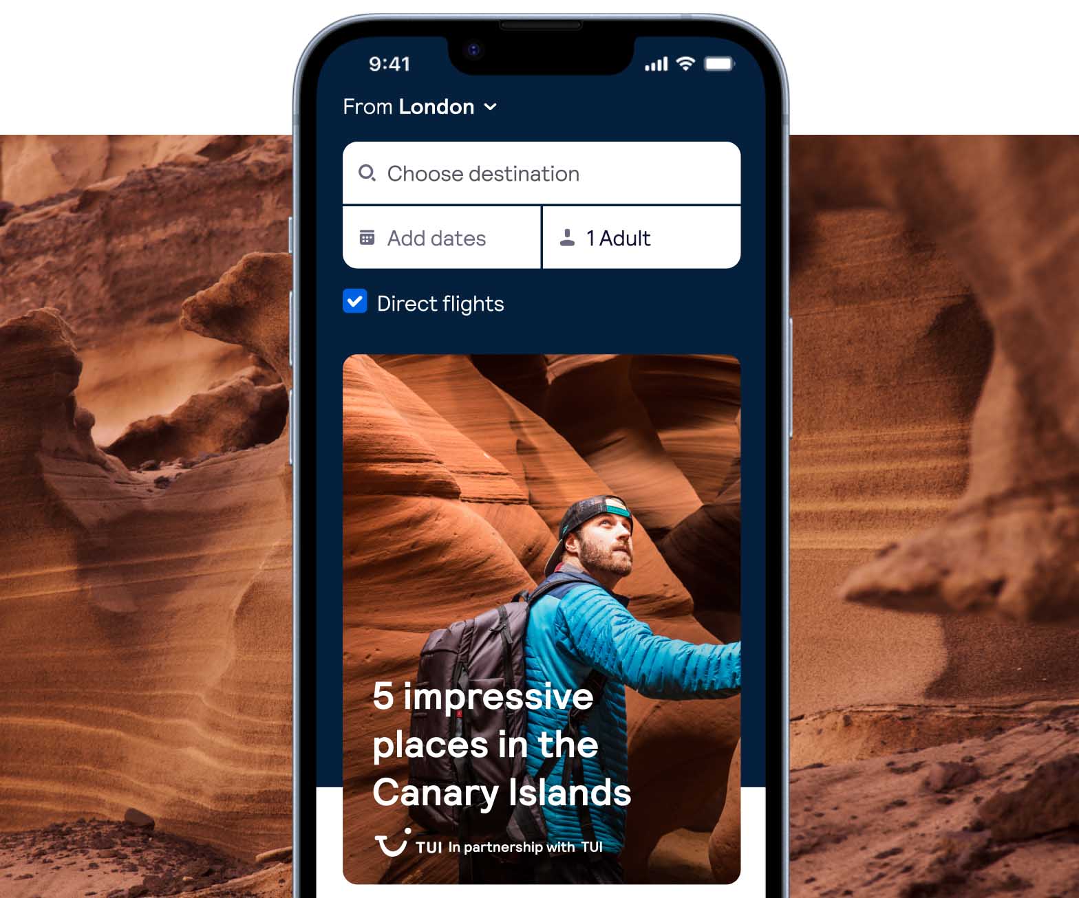Mastering Programmatic Advertising on Skyscanner and Expedia.